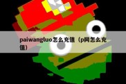 paiwangluo怎么充值（p网怎么充值）